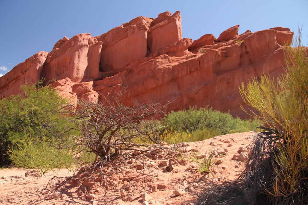 Cafayate01