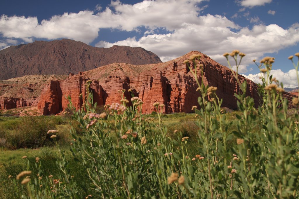 Cafayate02