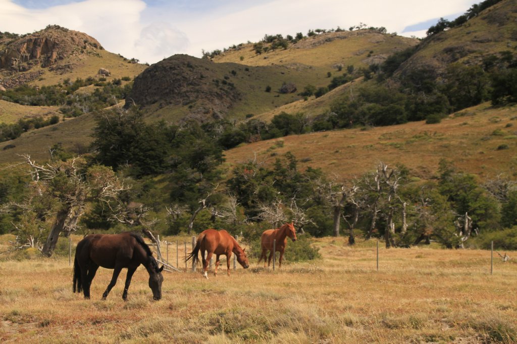 El Chalten01