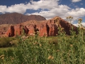 Cafayate02