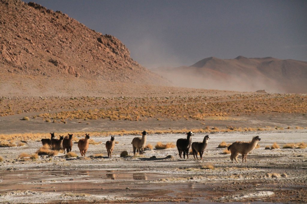 Uyuni038