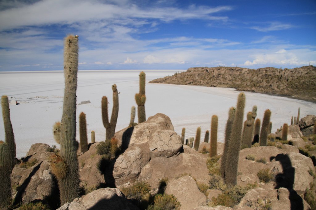 Uyuni14