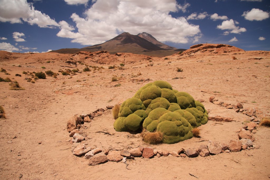 Uyuni20