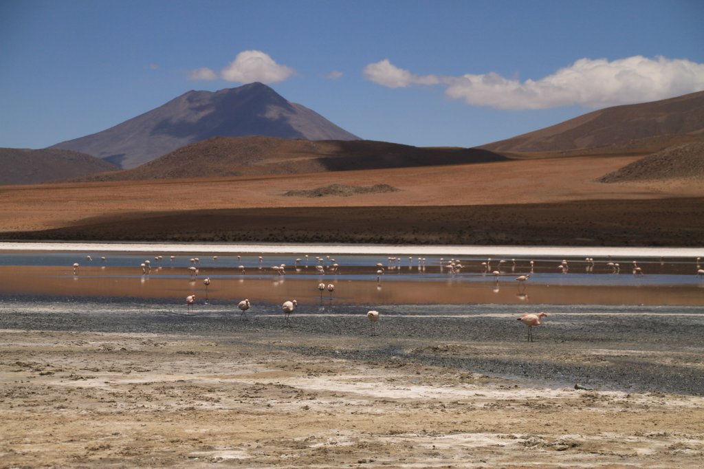 Uyuni21