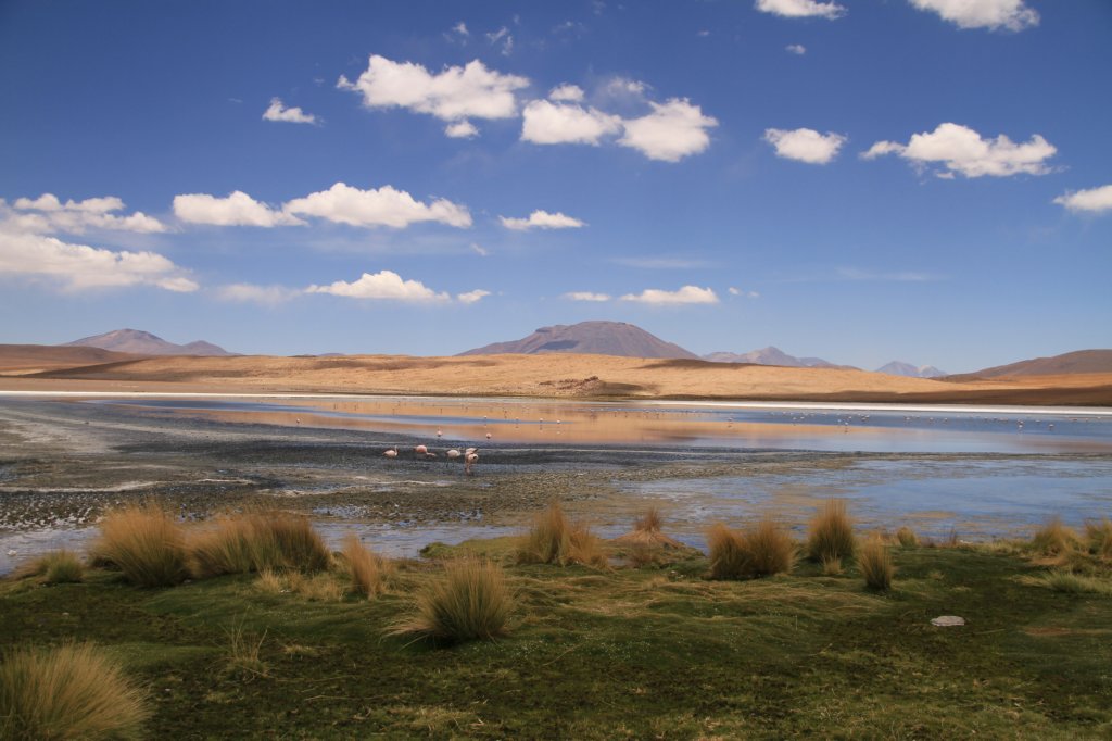 Uyuni23