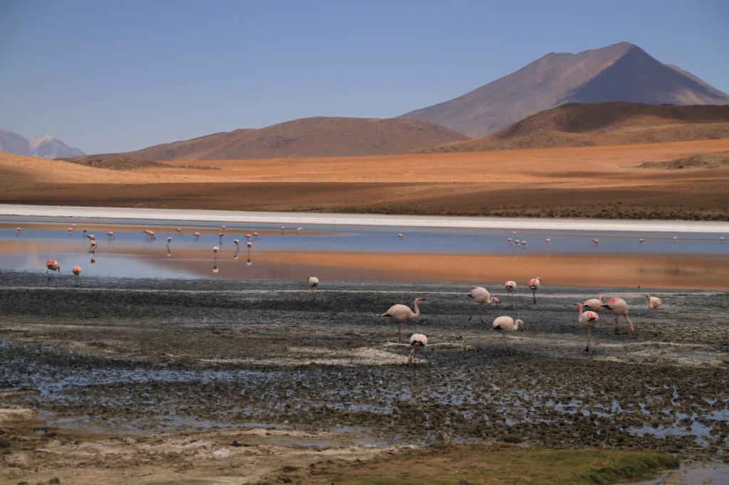 Uyuni24