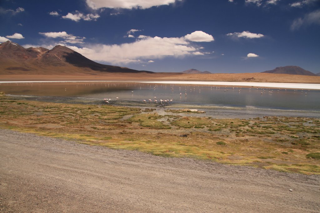 Uyuni25