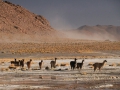 Uyuni038