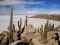 Uyuni14