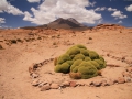 Uyuni20