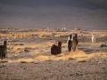 Uyuni39