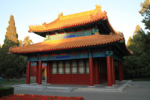 02_peking forb001