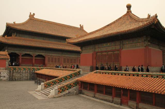 02_peking forb005