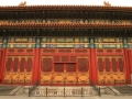 02_peking forb004