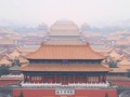 02_peking forb007