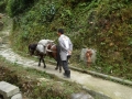 05_guilin06