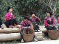 05_guilin07