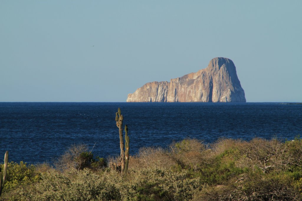 galapagos15