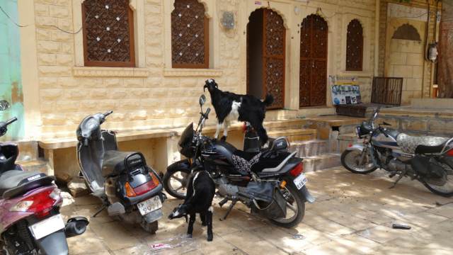 06jaisalmer10