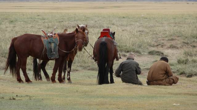 gobi - dsc01149