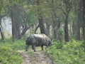 02chitwan03