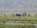 02chitwan16