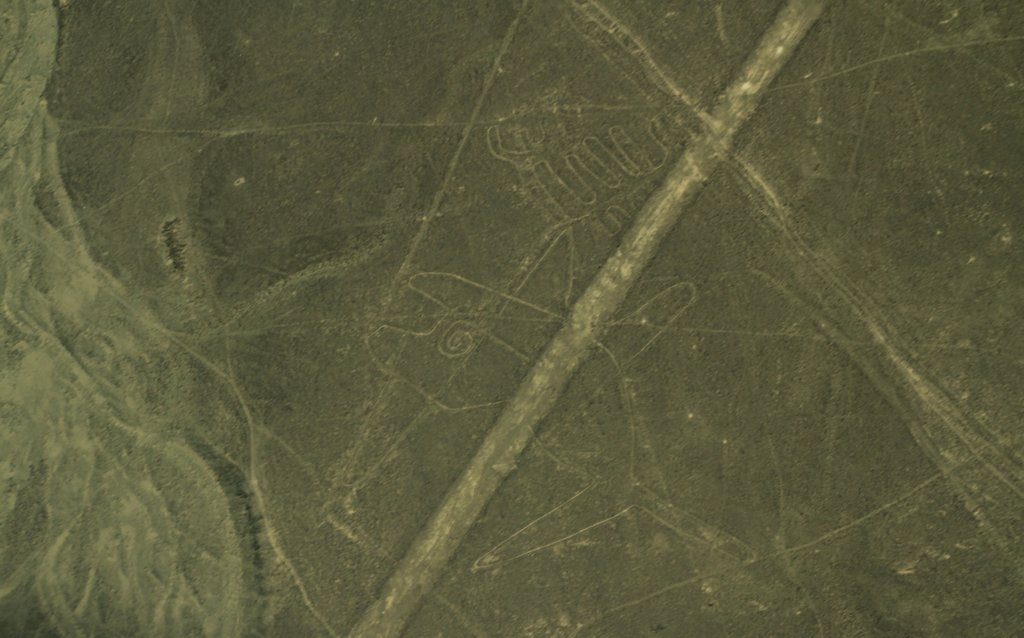 nasca21