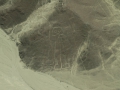 nasca12