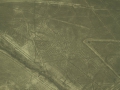 nasca20